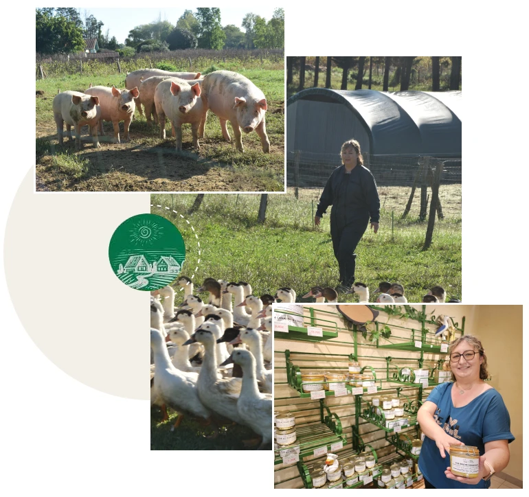 Vente directe de foies Sainte-Marie-de-Gosse